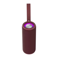 Bluetooth Højtaler
