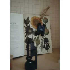 Børnekikkert