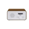 DAB+ PLL FM Radio
