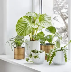 Flowerpot Urtepotteskjuler