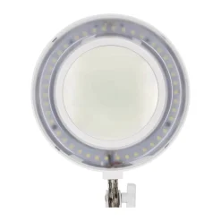 Forstørrende bordlampe