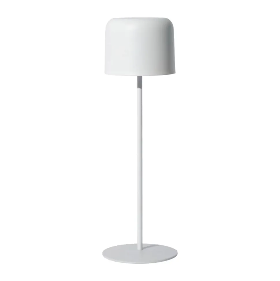 Giles Lampe