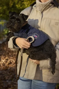 Hundesnor