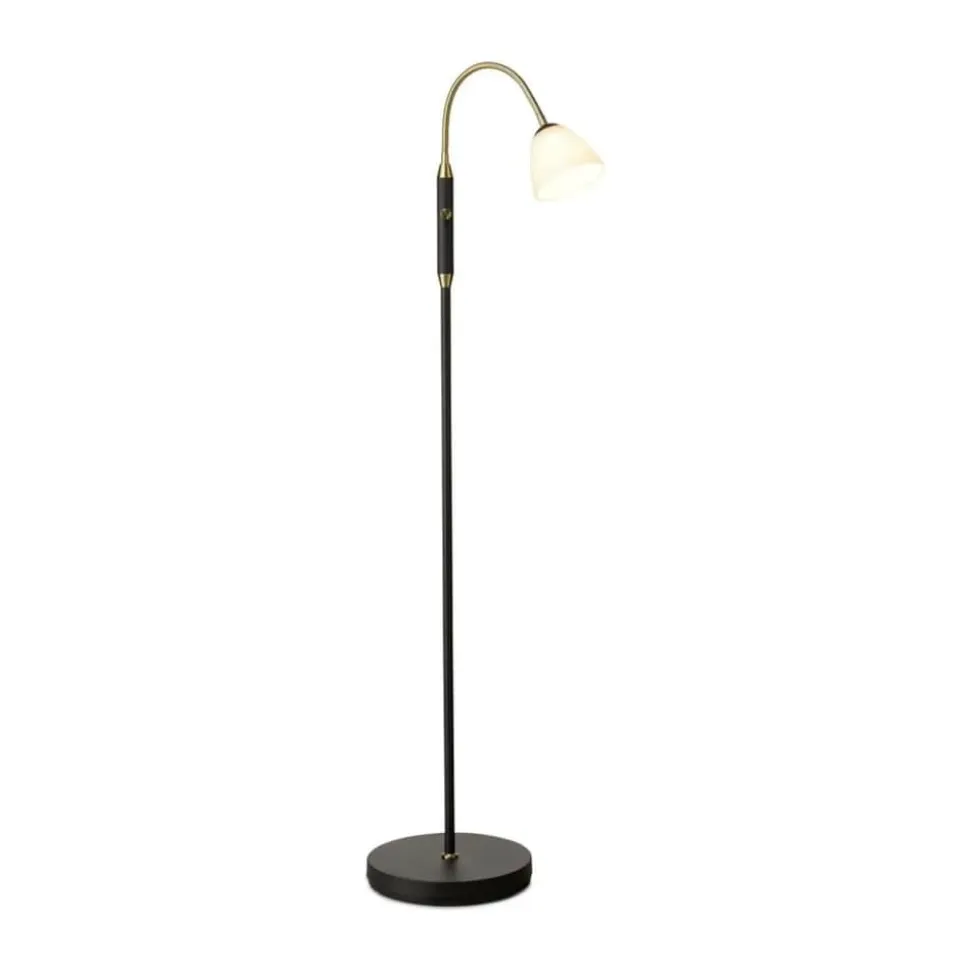 Lucid LED Gulvlampe