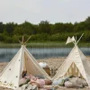 MINI Fardin Legetipi