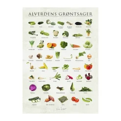 plakat - Alverdens grøntsager