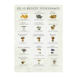 plakat - De 15 bedste spisesvampe