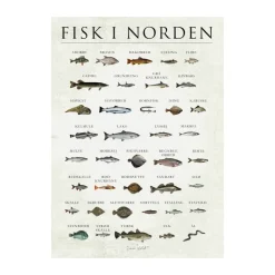 plakat - Fisk i Norden
