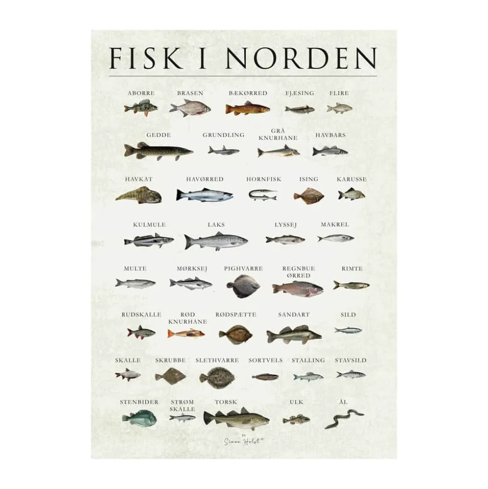 plakat - Fisk i Norden