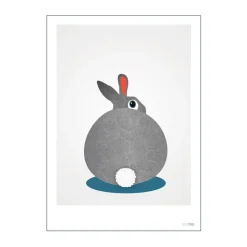 Plakat - Kanin