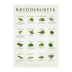 plakat - Krydderurter
