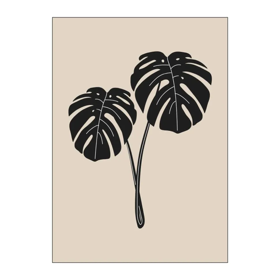 Plakat - Monstera Deliciosa