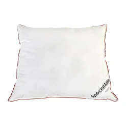 Speciel Edition Hovedpude