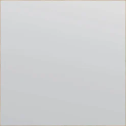 Spejl